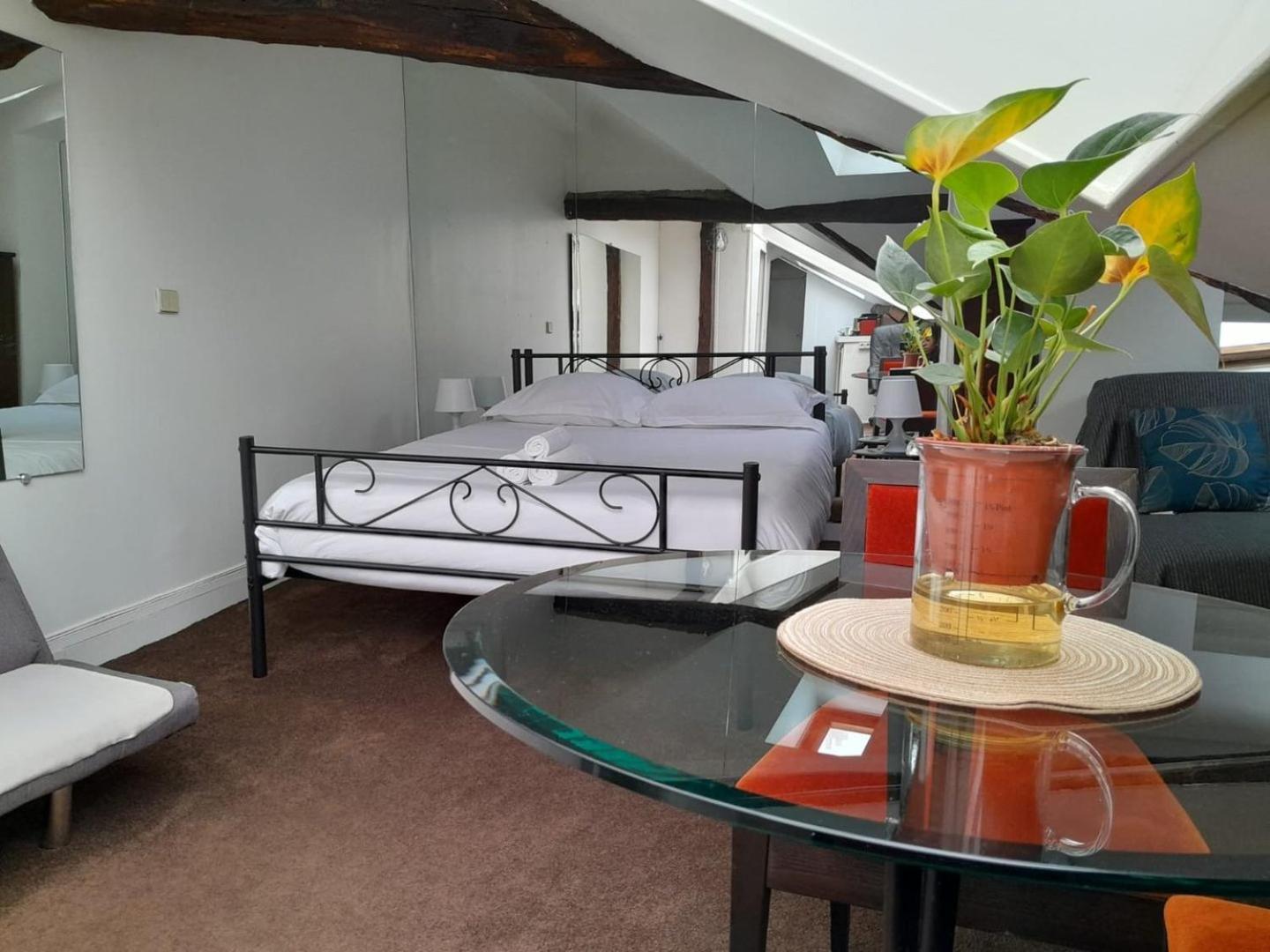 Le Singulier : Au Coeur De Appartement